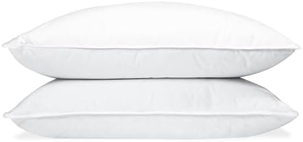 Protect360 Pillow Protector Set of 2 Queen 21x30