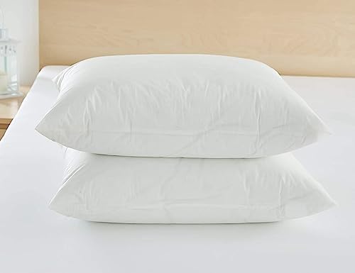 Bargoose Vinyl Zippered Pillow Protector - 21x27 2 Pack