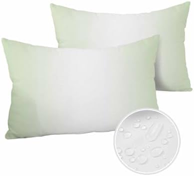 Waterproof Pillow Protector 2 Pack with Zipper
