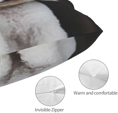 Bichon Frise Pillowcases Set of 2 - Microfiber Soft with Hidden Zipper