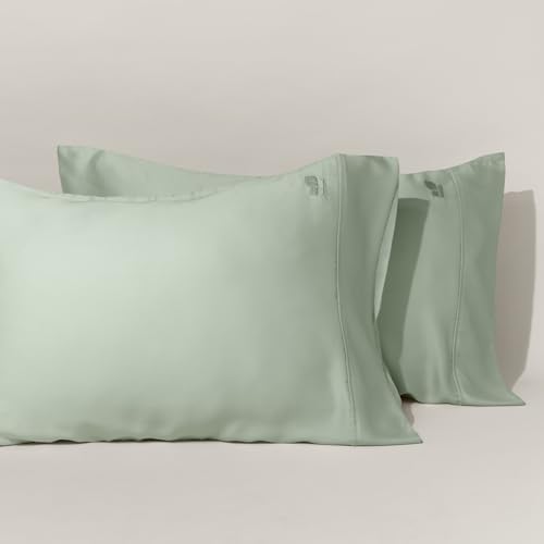 ArthCrafted 100 Austrian Tencel Lyocell King Size Pillowcase Set of 2