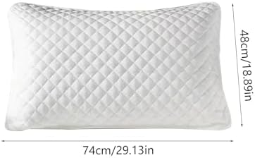 Dianli 2PCS Pillows Core Protective Cover with Zipper