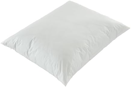 Bargoose Vinyl Zippered Pillow Protector - 21x27 2 Pack