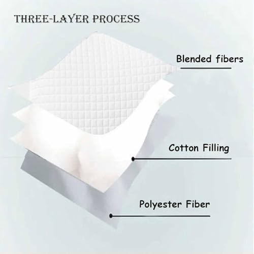 Quinlirra Fiber Pillow Core with Zipper Protection