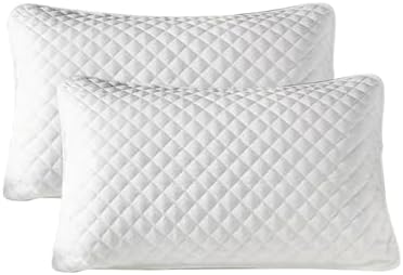 Dianli 2PCS Pillows Core Protective Cover with Zipper