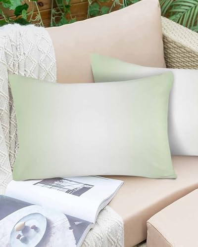 Waterproof Pillow Protector 2 Pack with Zipper