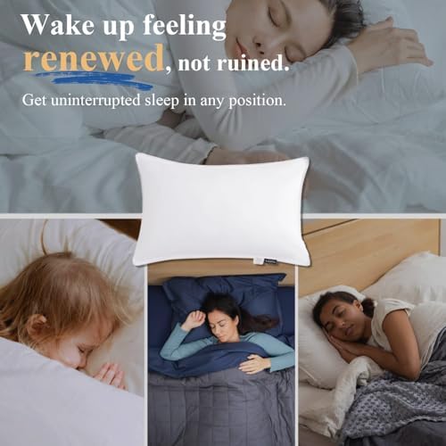 VANSILK Queen Bed Pillows Set of 2 Soft Down Alternative Support Pillow