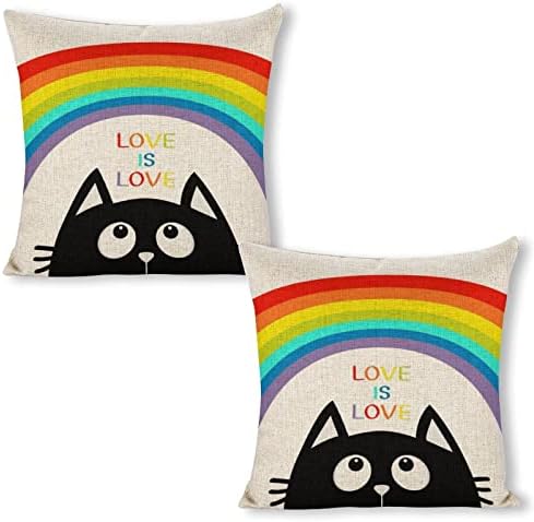 JOJOART Rainbow Funny Cat Pillow Covers Set of 2