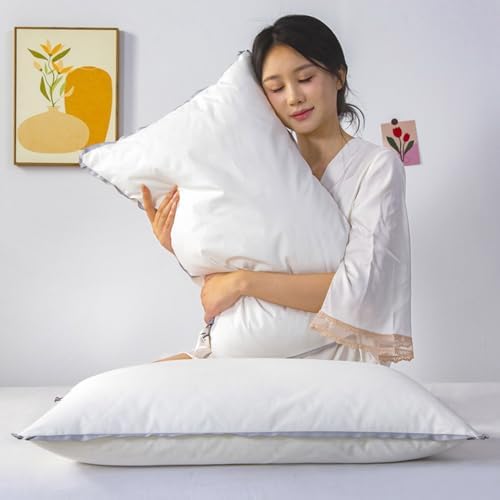 Soft Comfortable Bed Pillow 30x50cm Set of 2