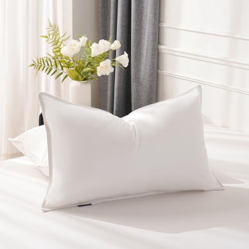 VANSILK Queen Bed Pillows Set of 2 Soft Down Alternative Support Pillow
