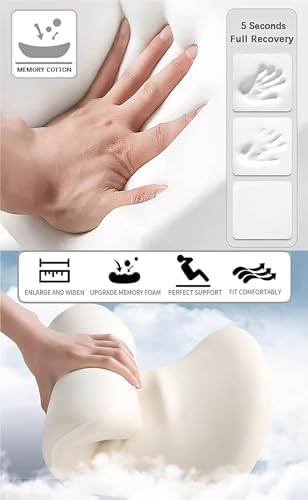 GOFOME Car Neck Lumbar Support Pillow Set