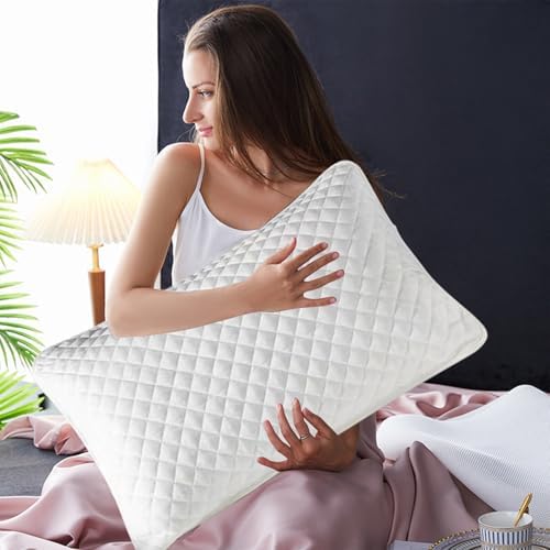 Dianli 2PCS Pillows Core Protective Cover with Zipper