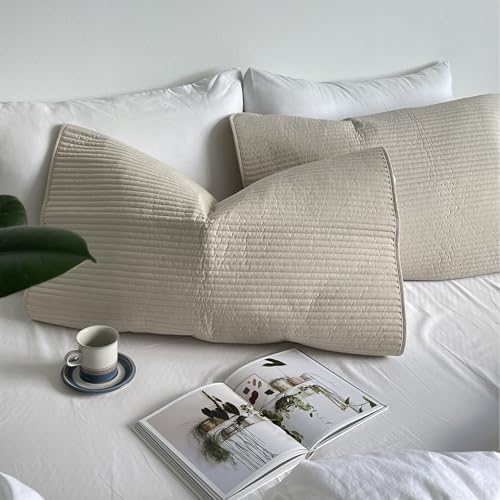 Vert Clip 2 Pack Cotton Quilted Pillow Protectors