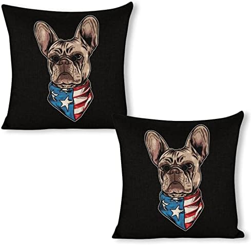JOJOART French Bulldog USA Flag Throw Pillow Covers Set of 2