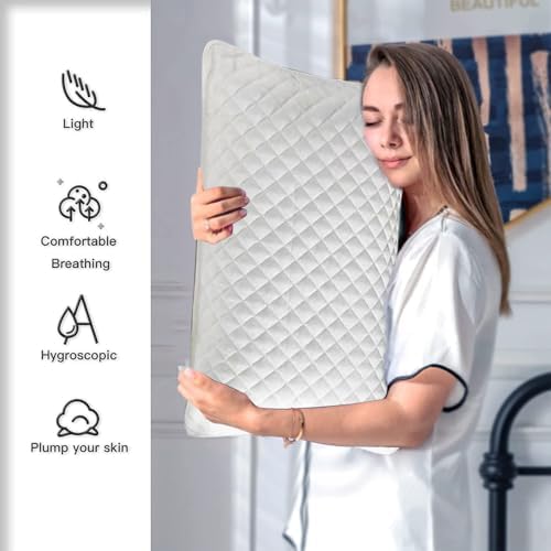 Dianli 2PCS Pillows Core Protective Cover with Zipper