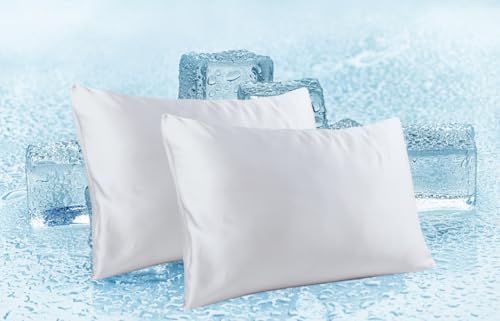 Zaizaihome Bamboo Viscose Pillow Protectors Set of 2 Zippered 26x20 Inch