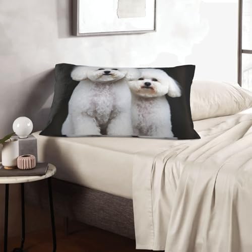 Bichon Frise Pillowcases Set of 2 - Microfiber Soft with Hidden Zipper