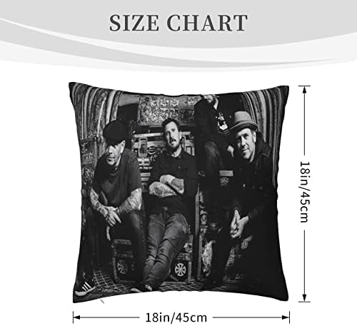 AMIOUDR Bouncing Rock Pillow Covers 18x18 Square with Hidden Zipper