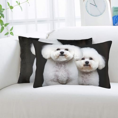 Bichon Frise Pillowcases Set of 2 - Microfiber Soft with Hidden Zipper