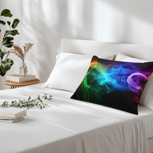 Rainbow Smoke Microfiber Pillowcases Set of 2