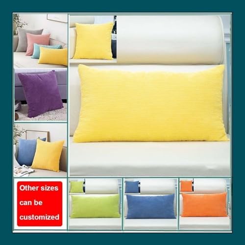 ZEaink Pillowcase Throw Covers 18x18 Velvet Zipper Closure