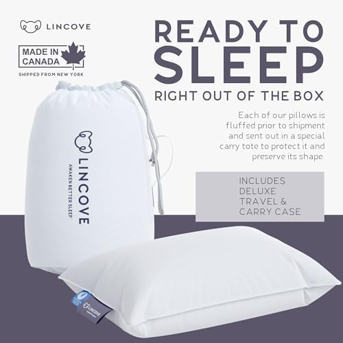 Lincove Travel Pillow - 13x18 Inches Down Feather Comfort