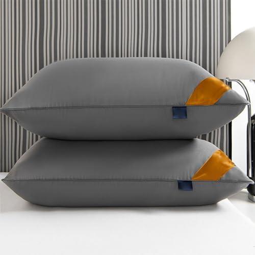 Soft Down Filled Pillow Core for Bed and Couch