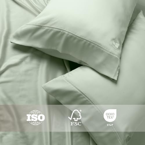 ArthCrafted 100 Austrian Tencel Lyocell King Size Pillowcase Set of 2