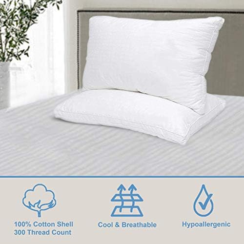 Maxi Mastertex Cooling Bed Pillows 2 Pack Cotton Cover Pillow Protectors