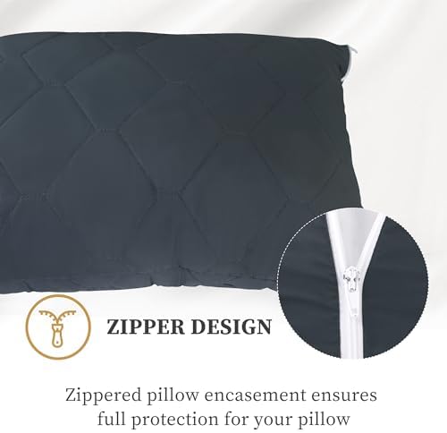 Safe and Sound Pillow Protectors 2 Pack 20x30 Inches Grey