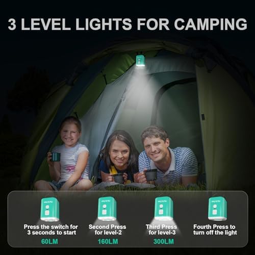 Puligoth Portable Air Pump with 5 Nozzles and Camping Light