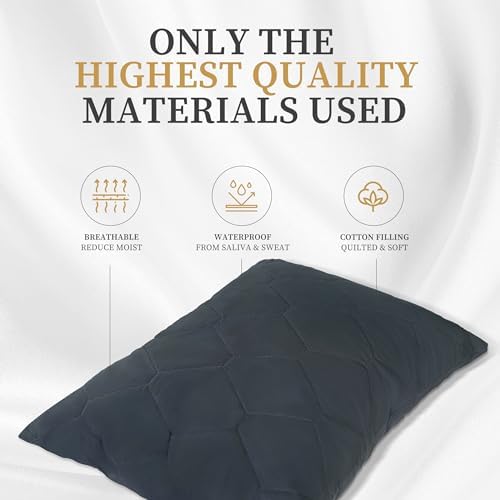 Safe and Sound Pillow Protectors 2 Pack 20x30 Inches Grey