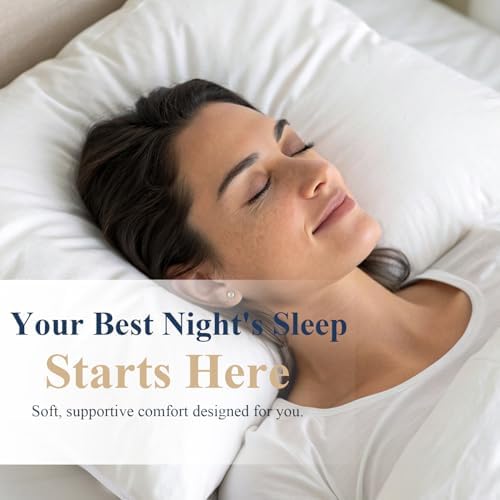 VANSILK Queen Bed Pillows Set of 2 Soft Down Alternative Support Pillow