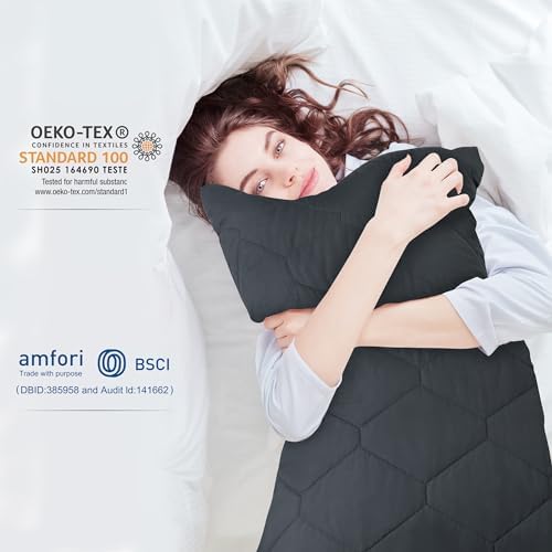 Safe and Sound Pillow Protectors 2 Pack 20x30 Inches Grey