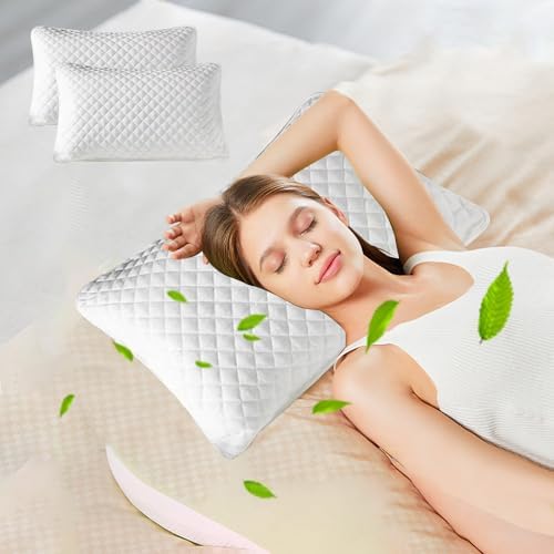 Dianli 2PCS Pillows Core Protective Cover with Zipper