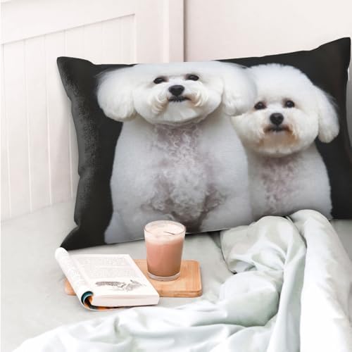 Bichon Frise Pillowcases Set of 2 - Microfiber Soft with Hidden Zipper