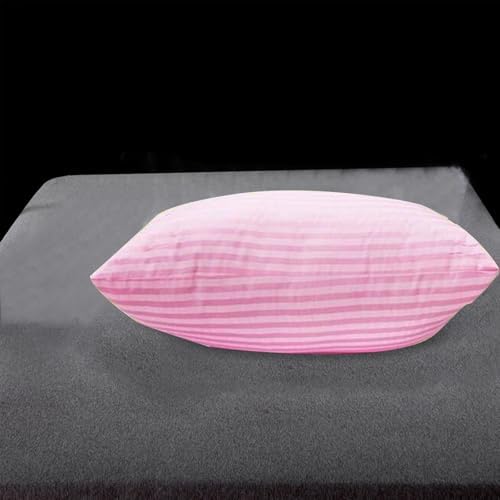 157x267in Soft Pillow for Home Hotel Use