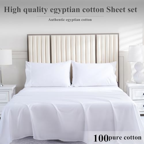 4 Piece Bed Sheet Set Twin XL 100 Egyptian Cotton 800 Thread Count
