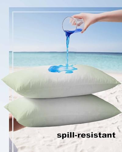 Waterproof Pillow Protector 2 Pack with Zipper