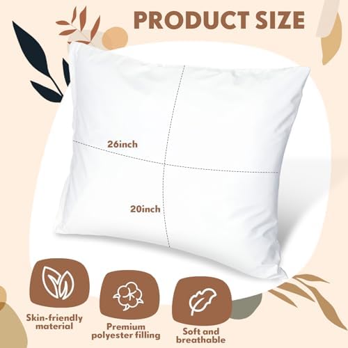 Jingmore 20x26 Reusable Pillow with Vinyl Protector