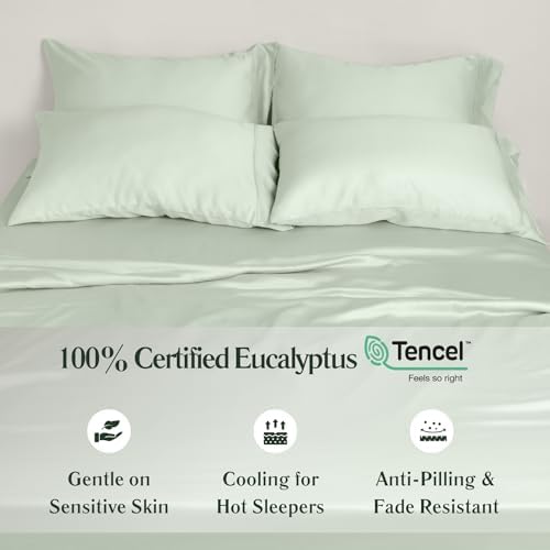 ArthCrafted 100 Austrian Tencel Lyocell King Size Pillowcase Set of 2