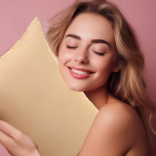 Collection Bed Pillows Standard - Comfortable Down Filled Pillow for Sleepers