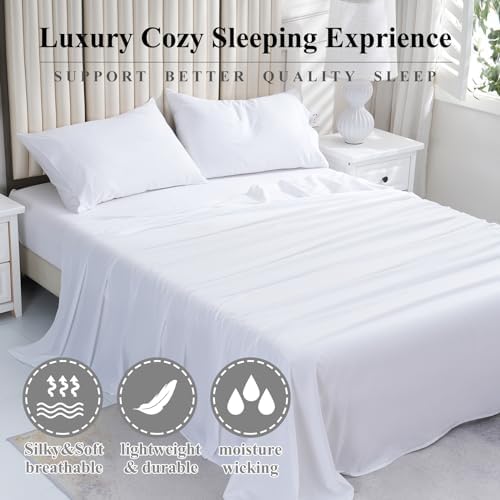 4 Piece Bed Sheet Set Twin XL 100 Egyptian Cotton 800 Thread Count