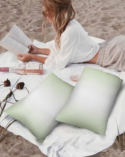 Waterproof Pillow Protector 2 Pack with Zipper