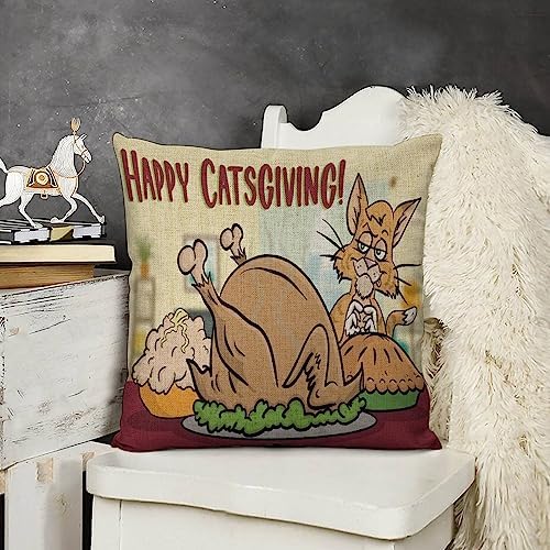 JOJOART Turkey Throw Pillow Covers Set of 2