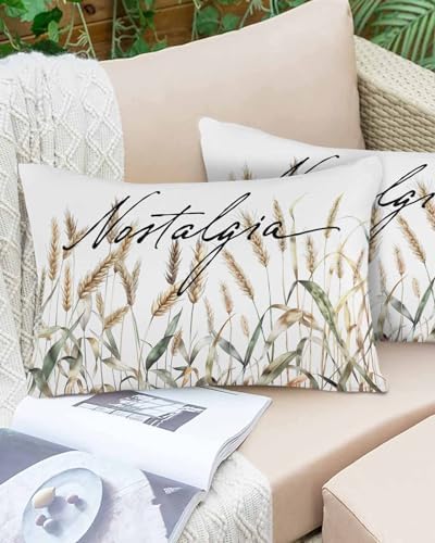 Waterproof Pillow Protector 2 Pack for 12x20 Pillow