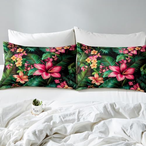 Manfei Tropical Plumeria Flowers Queen Sheet Set