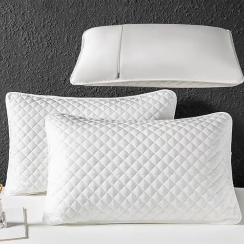 Dianli 2PCS Pillows Core Protective Cover with Zipper