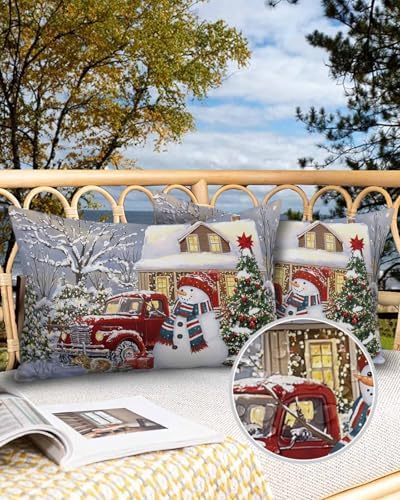 Waterproof Pillow Protectors 2 Pack - Farmhouse Style with Zipper