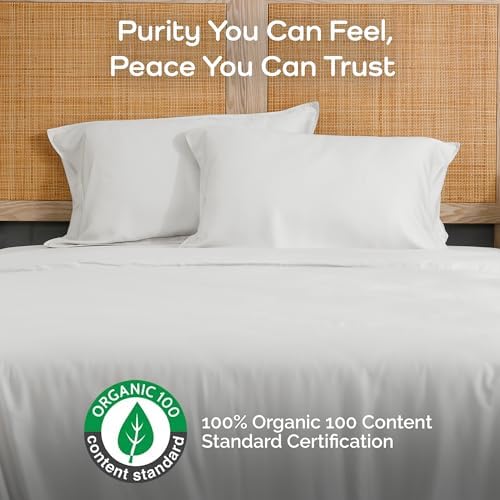 Bamtek Queen Size Set of 2 Cooling Pillowcases